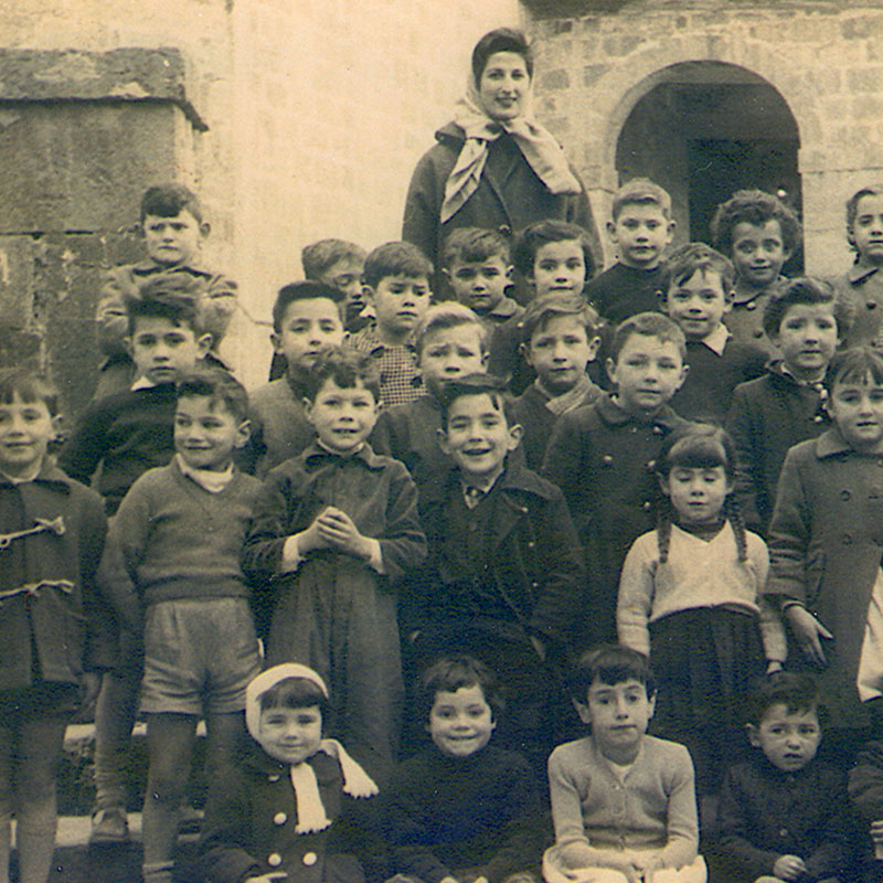 08-harmailak
