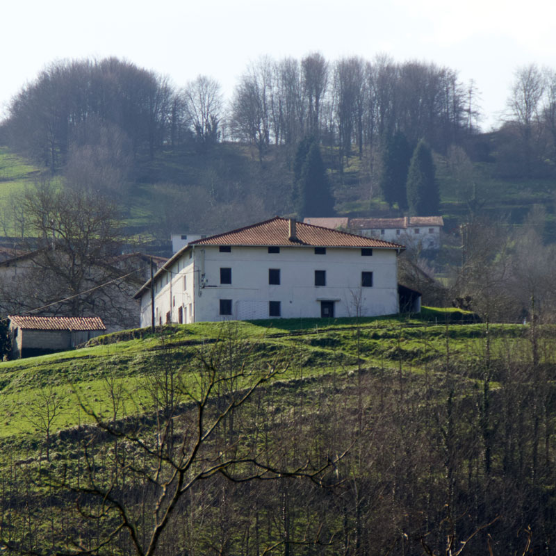 11-portale