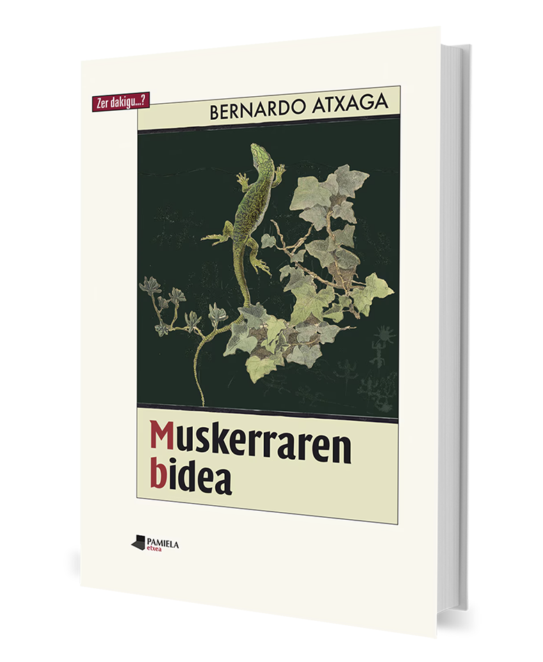 Muskerraren-Bidea-Pamiela